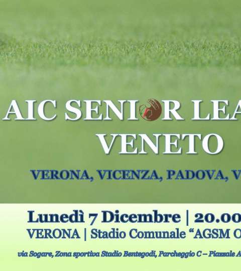 AIC Senior League