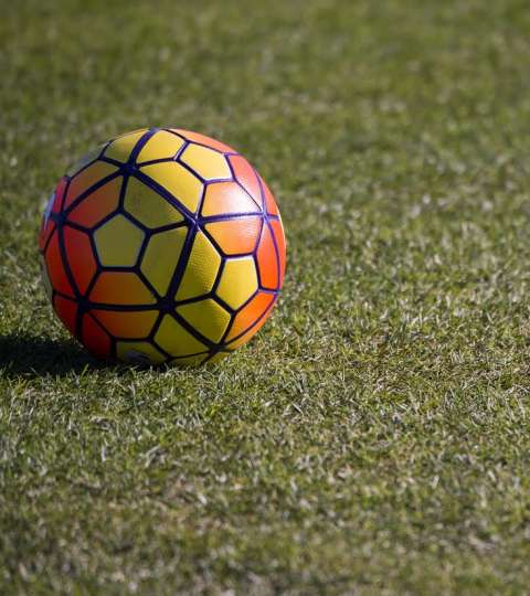 Terremoto aiuto calciatori AIC Tommasi